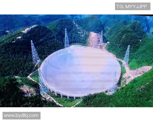 武汉足球队的崛起之路：揭秘他们背后的力量与荣耀