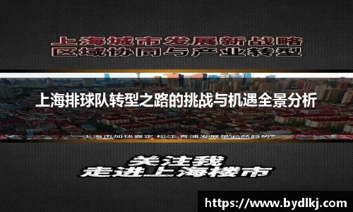 上海排球队转型之路的挑战与机遇全景分析